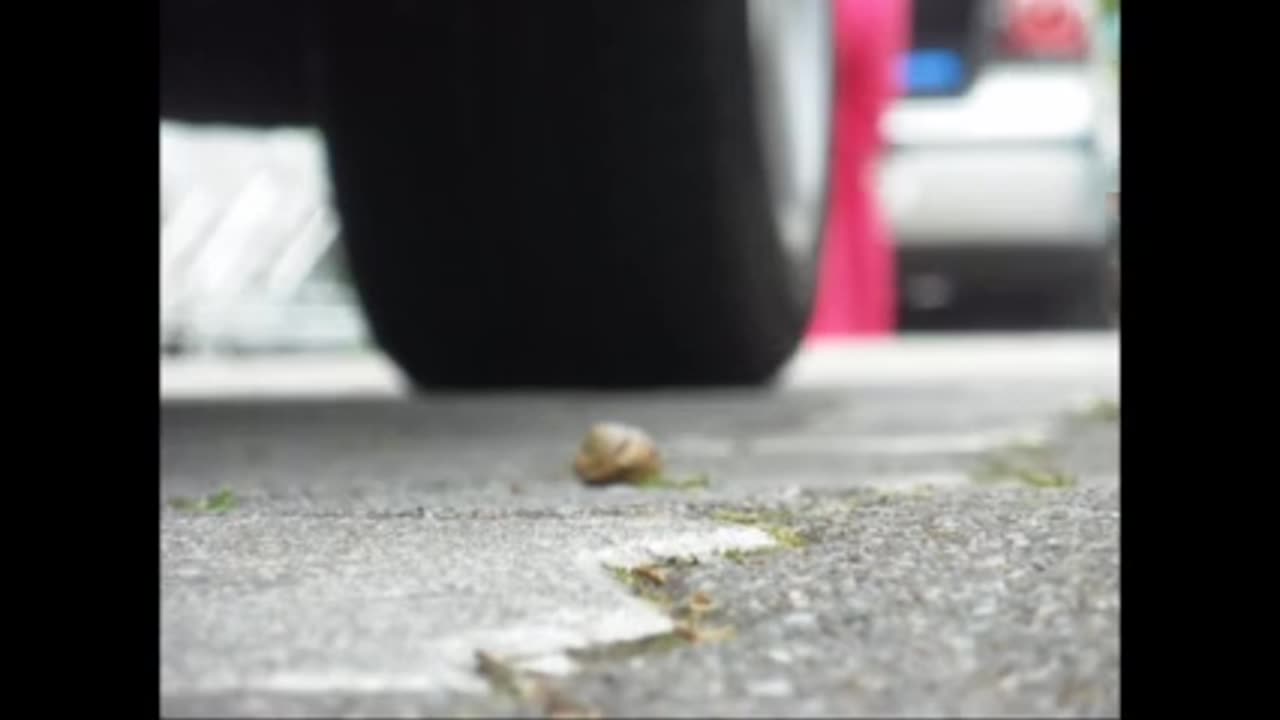 Candid Snail Crush in Parking Lot - Candid