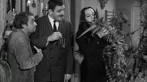 The Addams Family S1 E14 - Art and the Addams Family