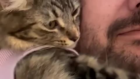 #16 "This 'Talking' Cat Is Trying to Say Something – And It’s Too Funny!"