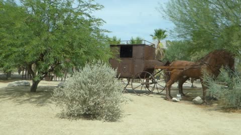 Scrap metal horse and carriage again while looking for scrap metal raptors
