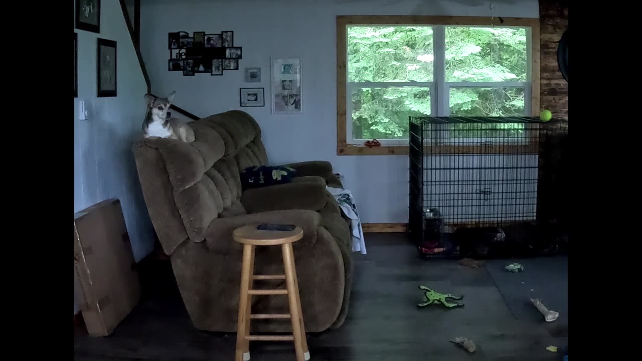 buster in his office