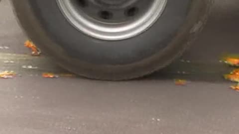 High Heels & Big Wheels