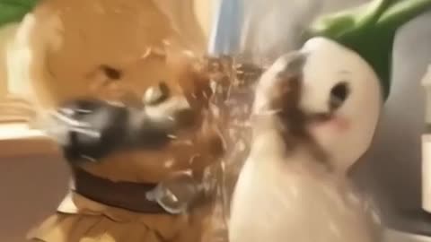 Potato VS. Onion Sword Fight🔥
