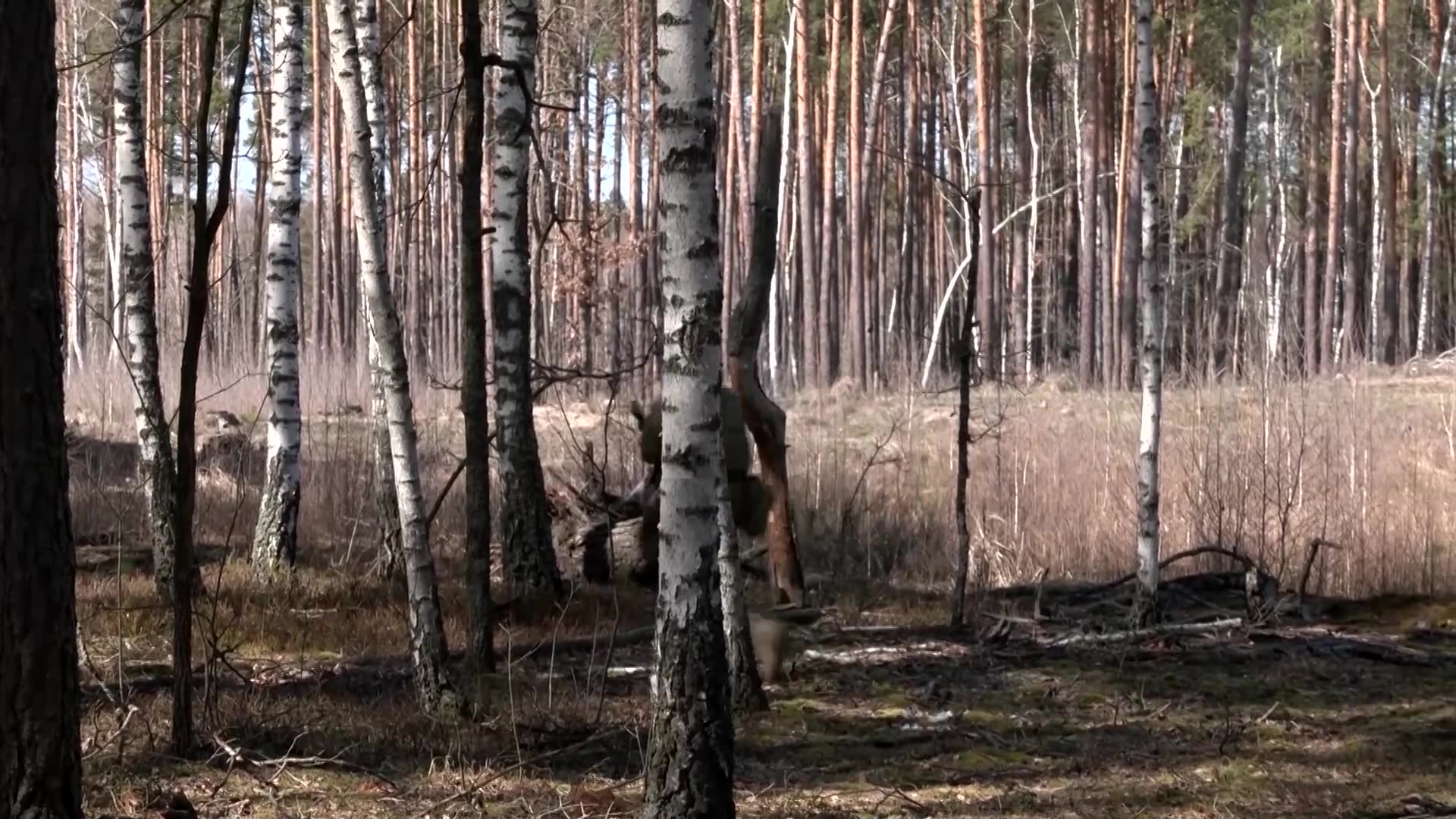 Cash bonuses and home loans: Inside Ukraines youth recruitment drive