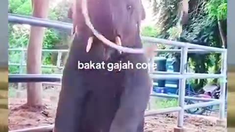 Funny