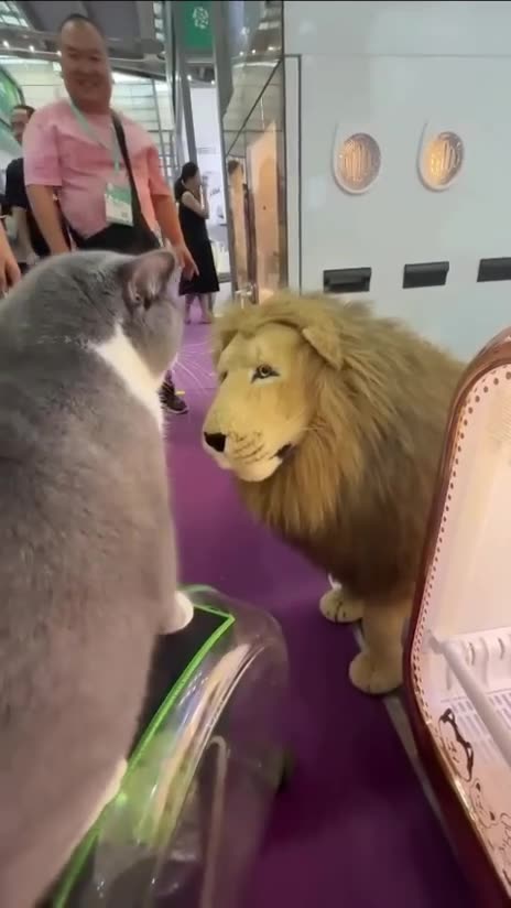 You don’t look so scary