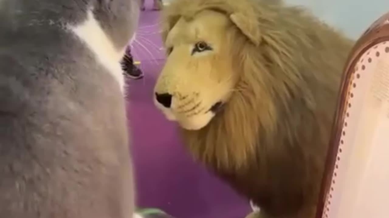 You don’t look so scary