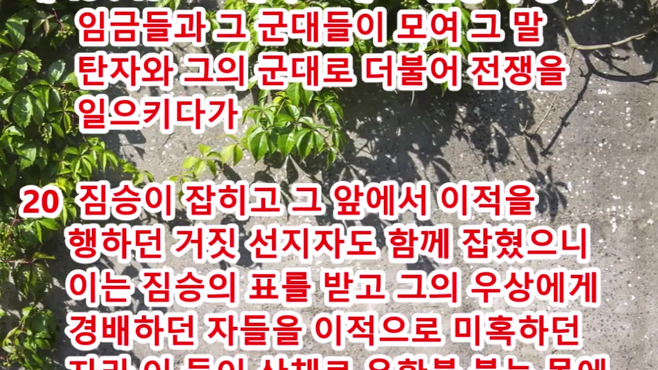 BOJ 지구촌 대특종 제19편. 보좌앞에 펴있는 생명책의 비밀