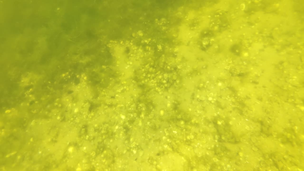 Kayak on The South Side, PT - Margem Sul, S02E08 LAGOA de ALBUFEIRA 29th of July 2K25 Part 4