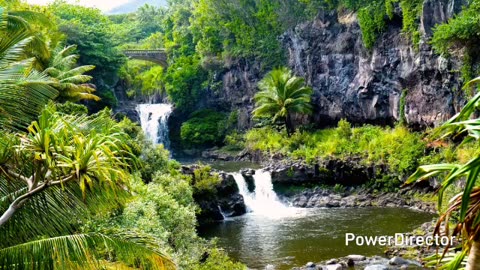 Best pictures of maui