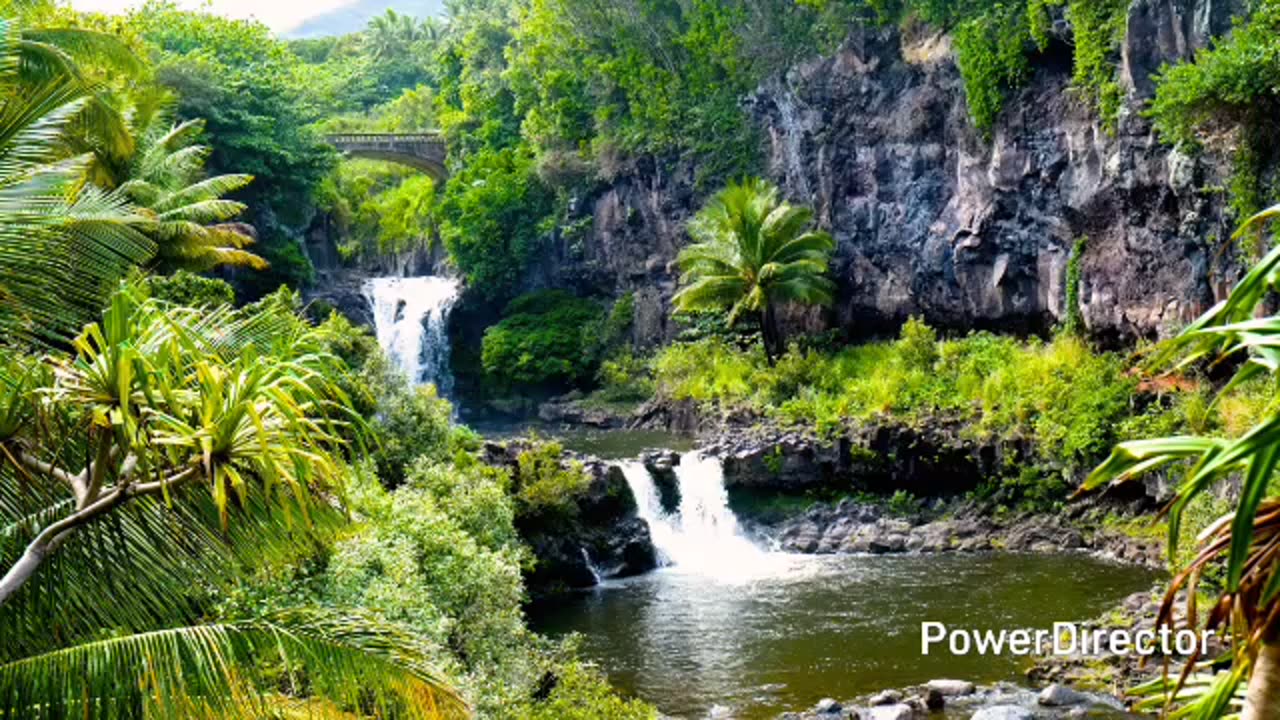 Best pictures of maui