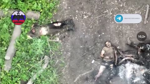 Ukraine Conflict