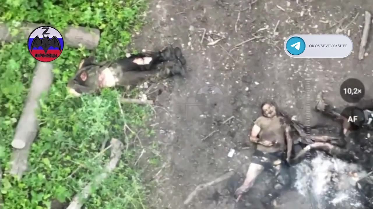 Ukraine Conflict