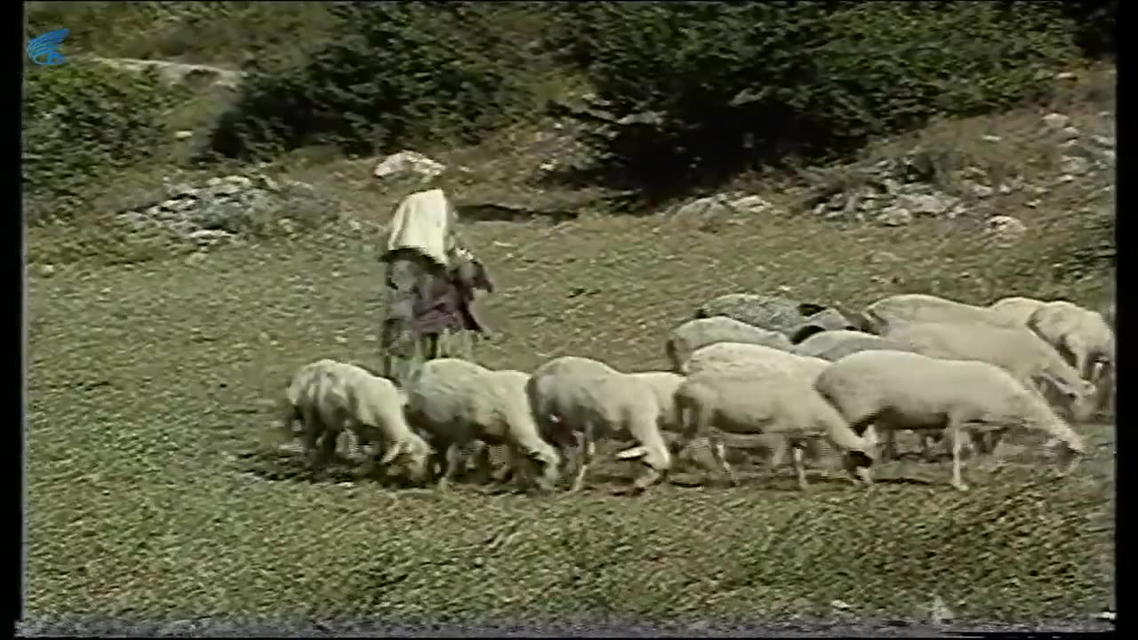 Gülçiçek