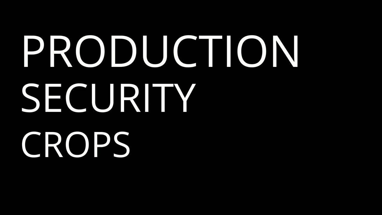 The Silent Suffering of Migrant Workers | Orwell - Part 2