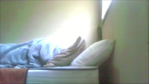 Smokeys Room ( Sleeping )