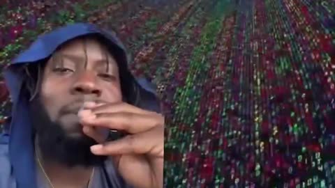 What is happening with the Sun?