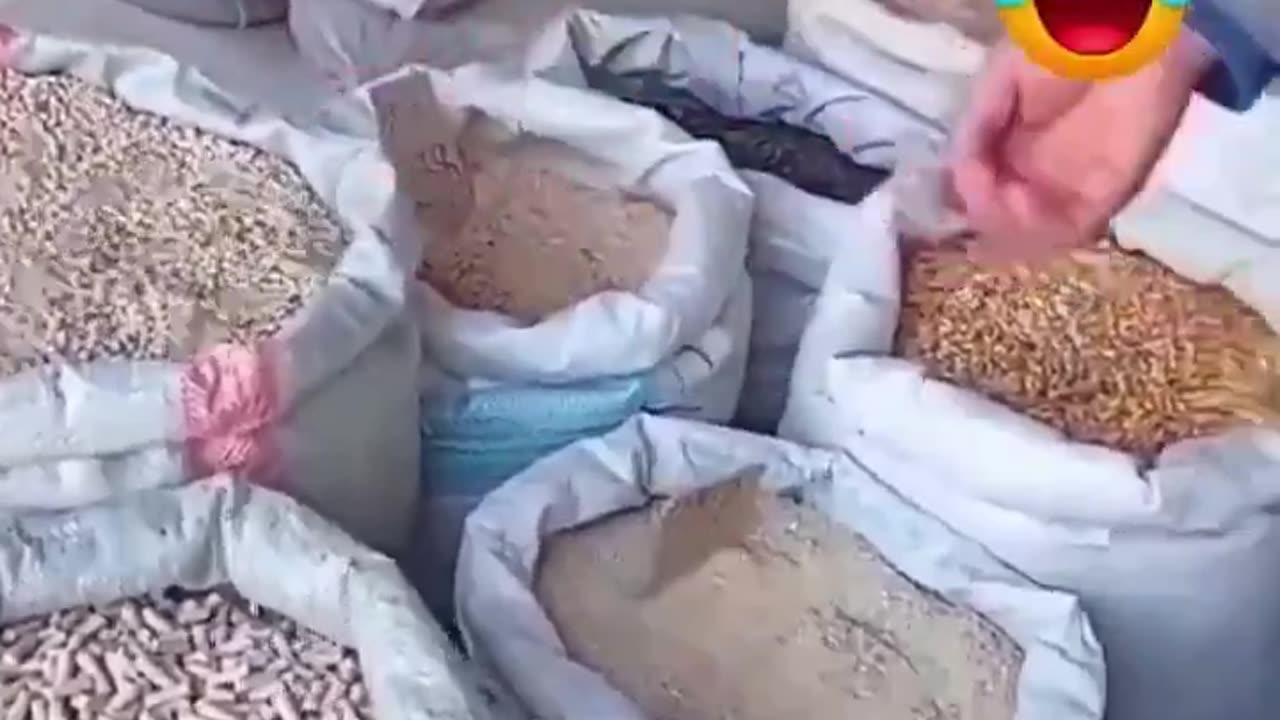 Testing The Food