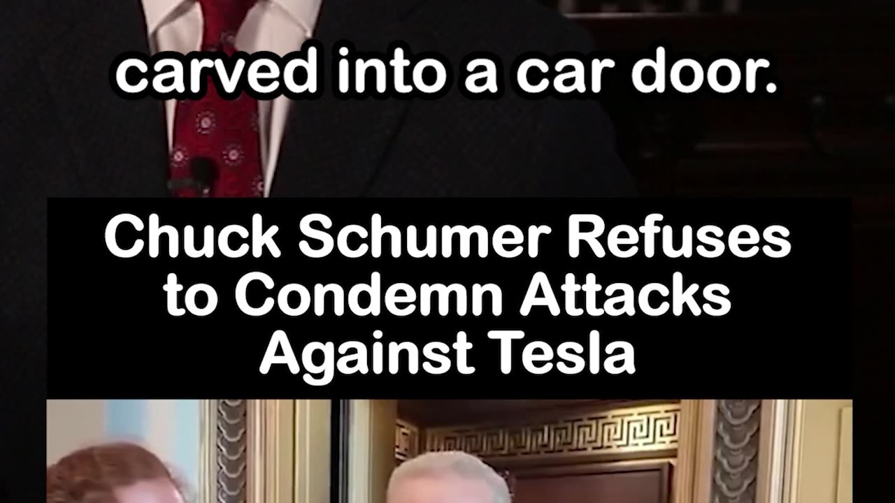 Chuck Schumer Refuses to Condemn Attacks Against Tesla, Says 'Elon Musk is a Disaster'