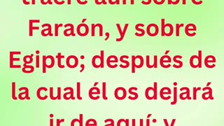 «Dios anuncia la última plaga» exodo 11:1 #shortvideo #shorts #youtube #youtubeshorts #ytshorts #yt