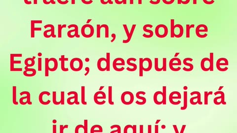 «Dios anuncia la última plaga» exodo 11:1 #shortvideo #shorts #youtube #youtubeshorts #ytshorts #yt