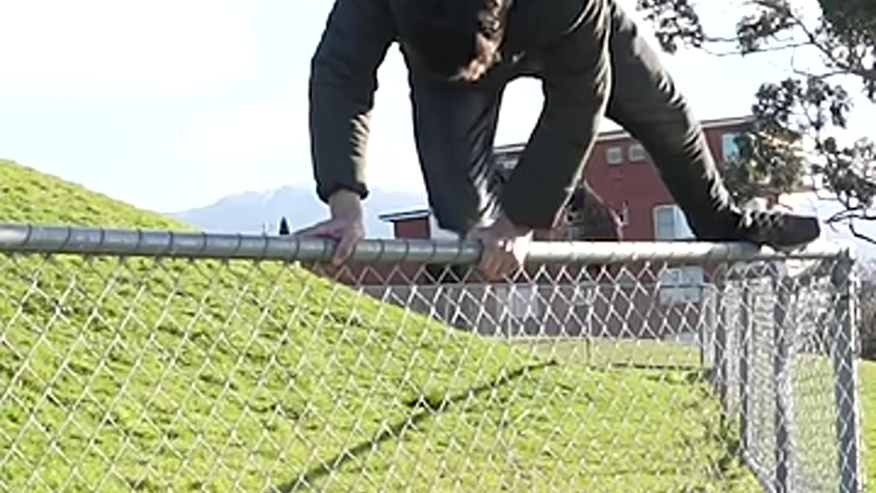 How Animals Get Over a Fence