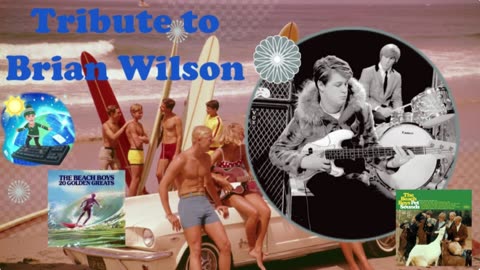 It's Only Talk and Roll: The Montages - Brian Wilson Tribute Show