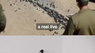 FAKE! AI made B-2 Bomber