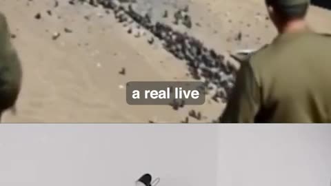 FAKE! AI made B-2 Bomber