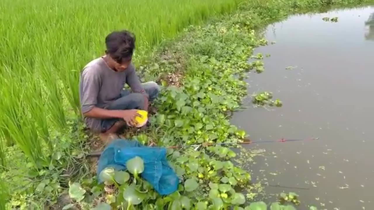 Traditional Hook Fishing