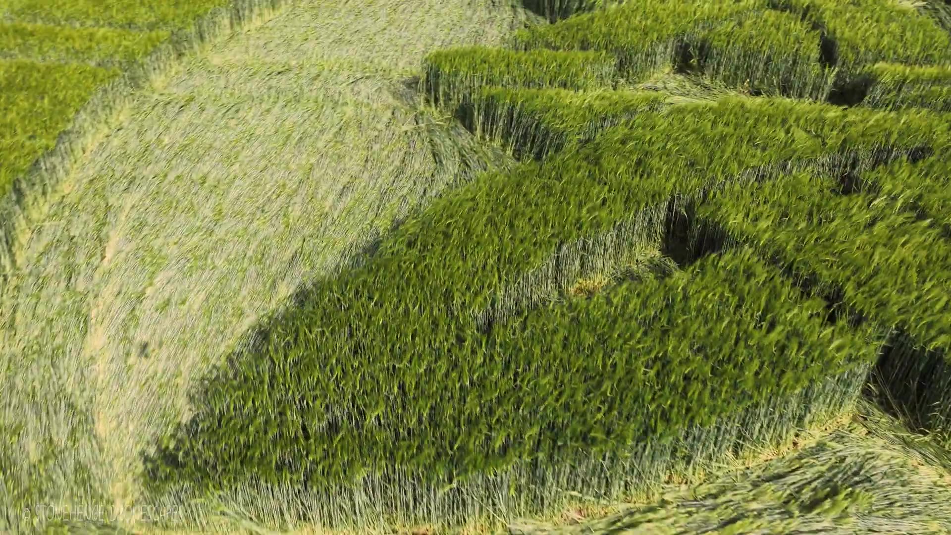 CROP CIRCLE-THE GALLOPS AT SUTTON VENY WITTSHIRE 5/5/25