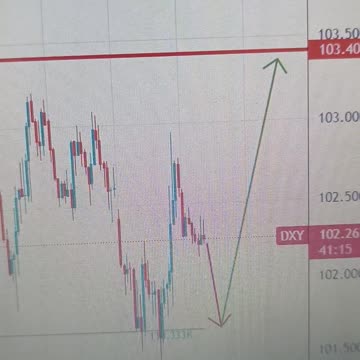 US Dollar Index loses ground below 103.00, US CPI inflation data in focus