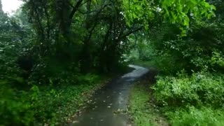Peaceful Rainfall with Thunder – 10 Hours for Sleep & Relax