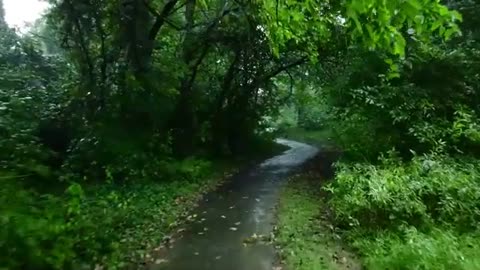 Peaceful Rainfall with Thunder – 10 Hours for Sleep & Relax