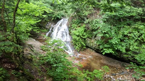 Bridal Veil Falls