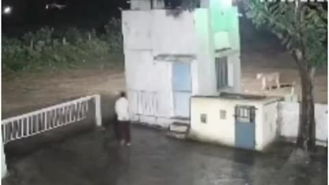 Man vs Lioness: Hilarious CCTV Face-Off Goes Viral