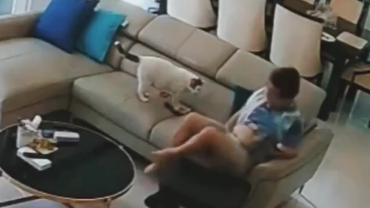 “Excuse me, that’s my spot” 😂