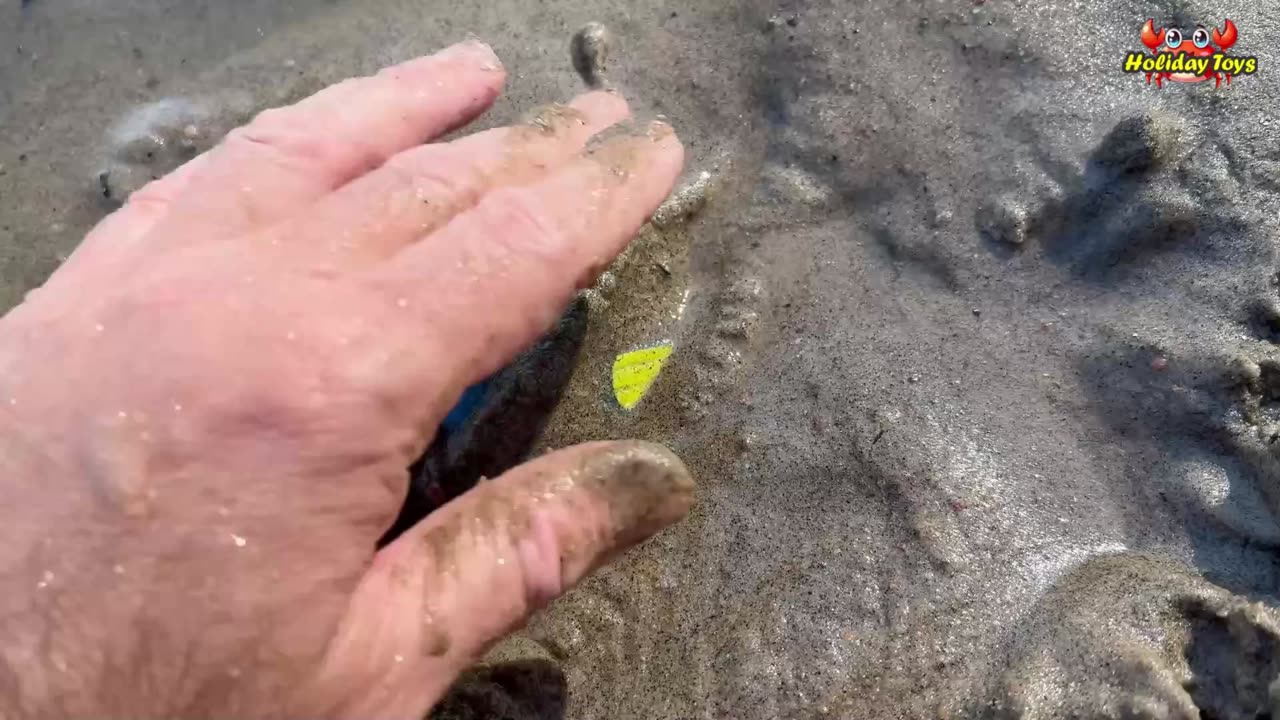 Green Lobster Enters the Sand on the River Bank