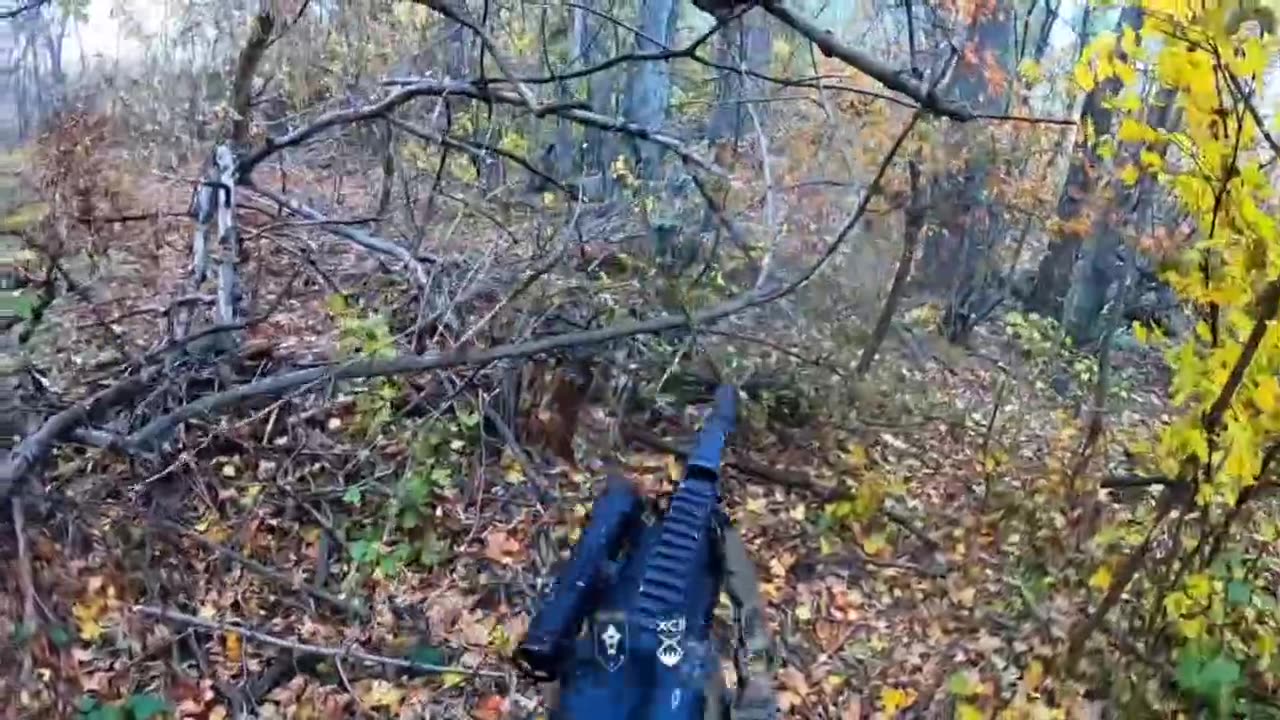 Russian Soldiers Begin Trickling Out of the Forest in Small Groups and Surrendering