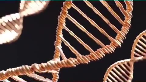 DNA Music Connection you don't know about