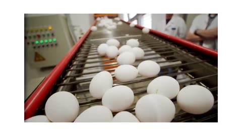 Egg-Cellent Nutrition: 10 Science-Backed Health Benefits You're Missing Out On! 🥚💪