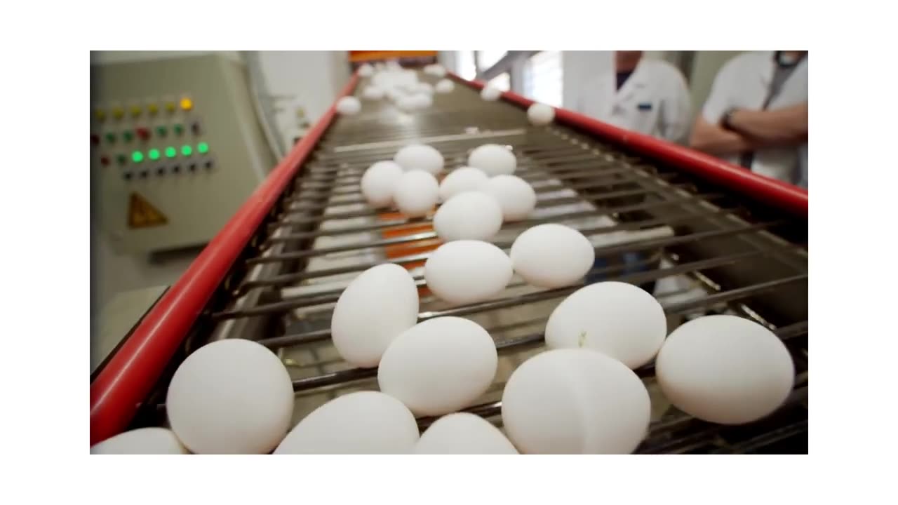 Egg-Cellent Nutrition: 10 Science-Backed Health Benefits You're Missing Out On! 🥚💪