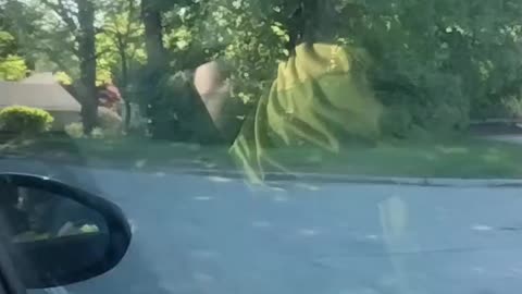Peaceful car ride