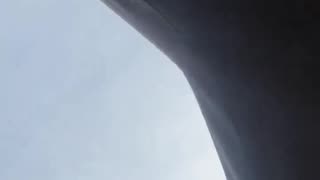 FAFO Fernando was pulled from his vehicle in Little Village after being warned that if he continued