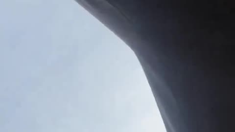 FAFO Fernando was pulled from his vehicle in Little Village after being warned that if he continued