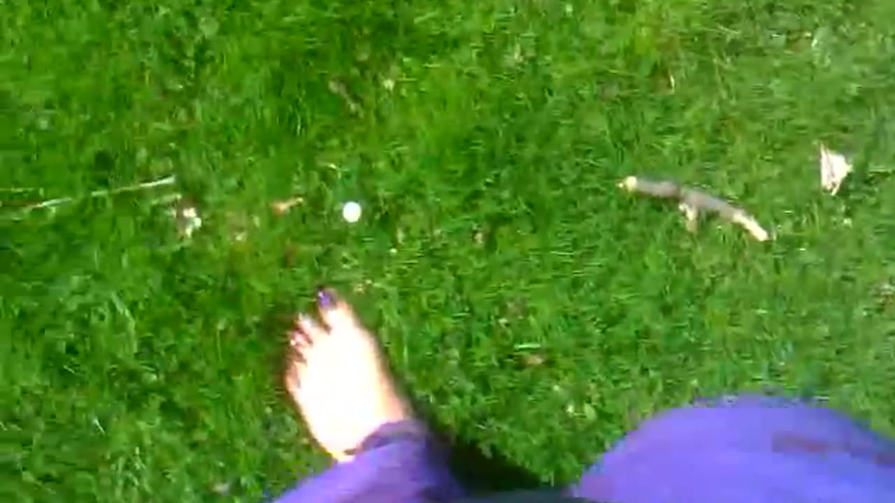 Barefoot Walk in Flowers