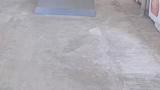 skateboarding