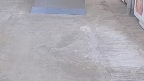 skateboarding
