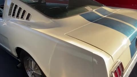 1965 Shelby Mustang GT