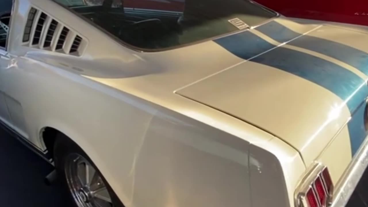 1965 Shelby Mustang GT